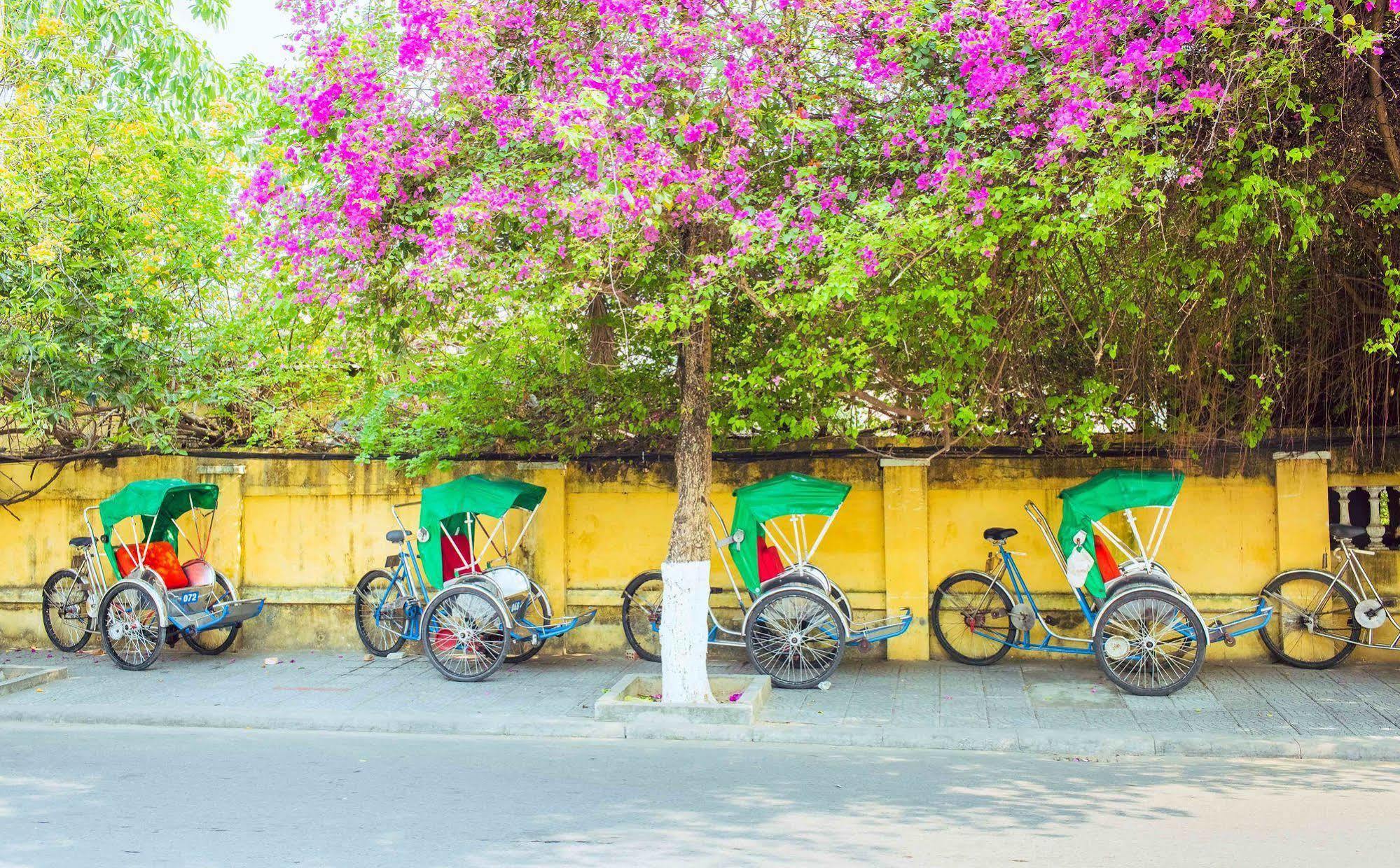 تريندي لايف فيلا هوي ان المظهر الخارجي الصورة